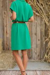 Yeşil Bol Kesim Kısa Kollu Polo Yaka Mini Elbise